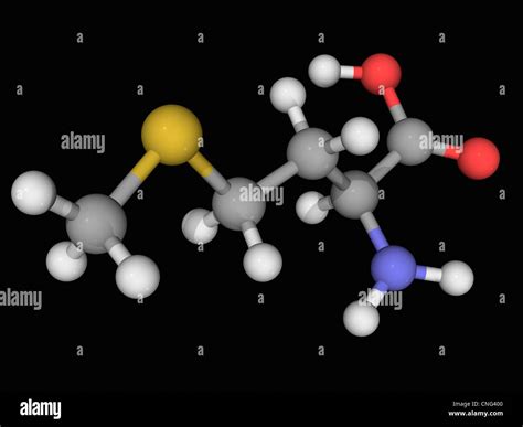 Methionine Molecule Stock Photo Alamy