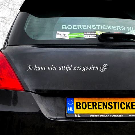 Je Kunt Niet Altijd Zes Gooien Raamsticker