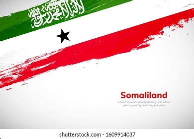 Somaliland Flag Made Brush Stroke Background Stock Vector Royalty Free