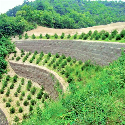 Muro Di Contenimento In Pietra GREEN TERRAMESH Maccaferri