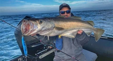 Pesca del abadejo con señuelos cómo encontrar los lugares adecuados