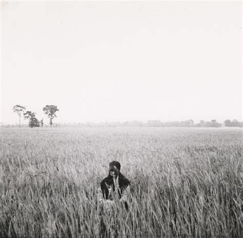 Frise chronologique Terre nourricière