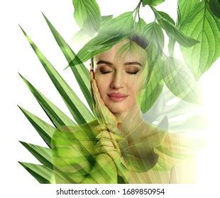 Sexy Beautiful Woman Hiding Behind Palm Stock Photo 311601023