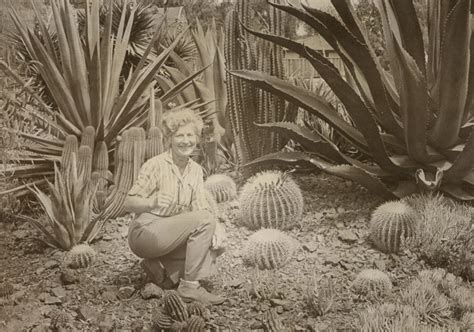 Events Archive The Ruth Bancroft Garden And Nursery