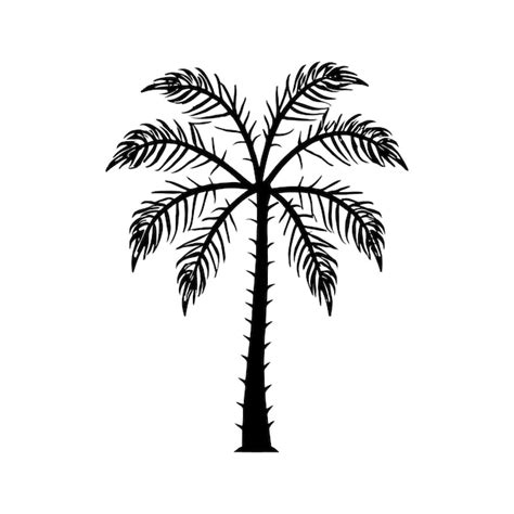 Premium Vector Palm Tree Silhouette Vector Illustration