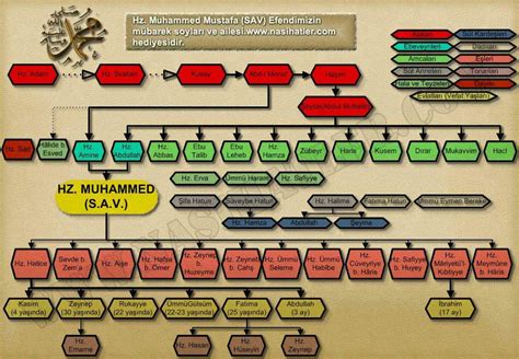 peygamber efendimizin soy ağacını istiyorum Eodev