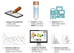 Development And Implementation Of A Water Quality Monitoring Program In