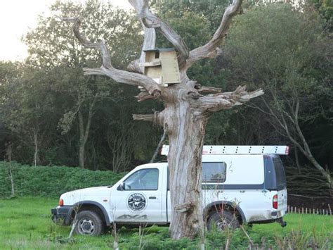 Barn Owl Boxes For Trees The Barn Owl Trust