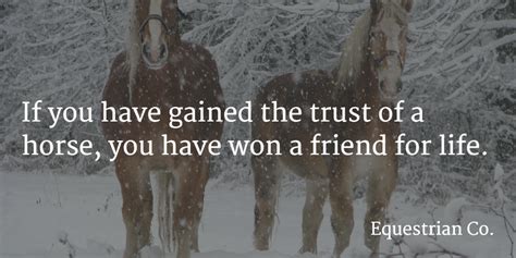 18 Inspirational Equestrian Quotes – Equestrian Co.