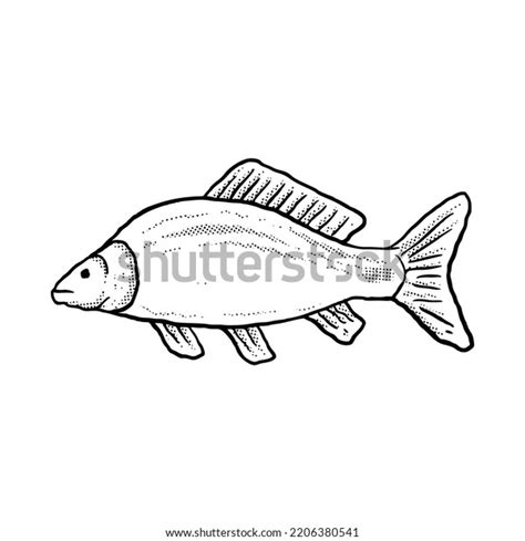 Fish Illustration Hand Drawn Cartoon Sketch Stock Vector Royalty Free