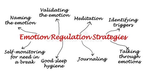 Emotion Regulation Stock Illustrations 761 Emotion Regulation Stock Illustrations Vectors