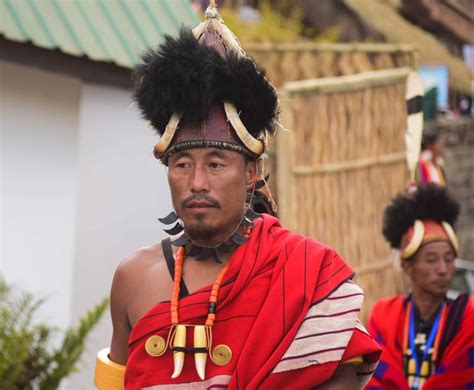 A performer from Hornbill Festival in their traditional attire [OC] : r ...