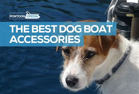 13 Dog Boat Accessories: Best Dog Stuff for Boats You Won't Believe