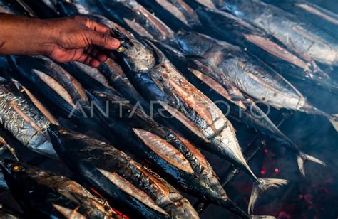 Sentra Pembuatan Ikan Cakalang Fufu Di Pulau Bacan Antara Foto