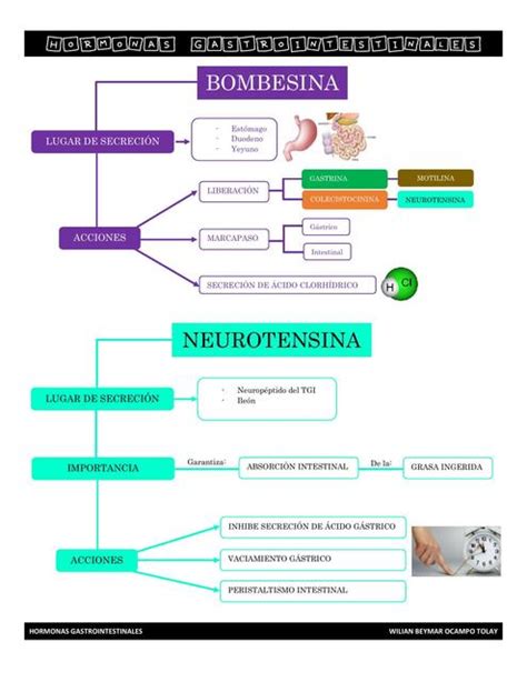 Hormonas Gastrointestinales Wilian Ocampo Udocz