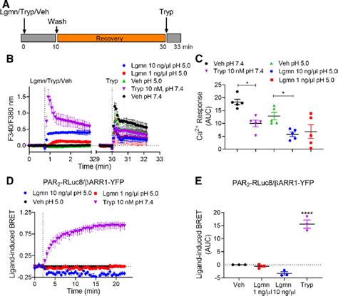 Lgmn Desensitization Of Par Ca Signaling And Recruitment Of B