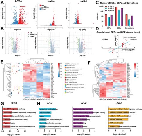 Lif Signaling Pathway Dna Demethylation And Iron Ion Transport