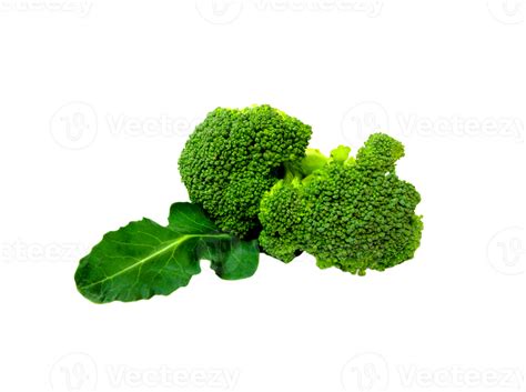 Broccoli Png Transparent Background 29719909 Png