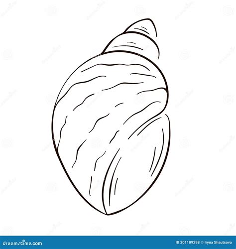 Seashell Logo In Line Art Style Silhouette Of Seashell Icon Marine