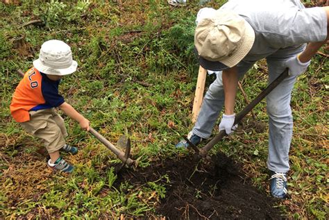 木を植えること（3） 木の家づくり 中島工務店