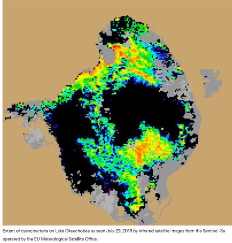 Florida’s Growing Toxic Algae Bloom: The New Normal?