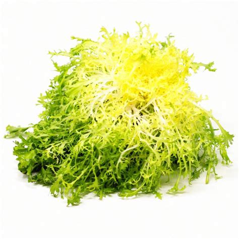 LETTUCE:Endive - Each - Sunharvest Ltd