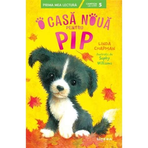 O Casa Noua Pentru Pip Linda Chapman Libraria CLB