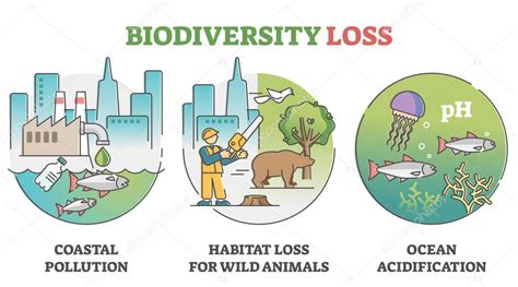 Problemas Y Causas De La P Rdida De Biodiversidad A Medida Que Se