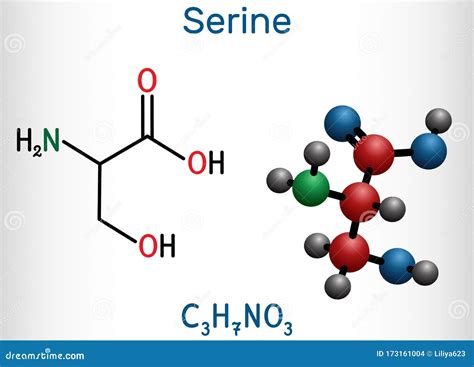 Molécula De Serina Ser Aminoácidos Se Utiliza En La Biosíntesis De La