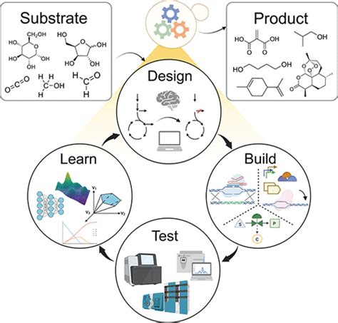 Metabolic Engineering Methodologies And Applications Chemical Reviews