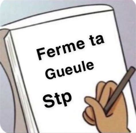 Meme Ferme Ta Gueule Stp Noella Gta Emoji Sketch Book Funny Memes