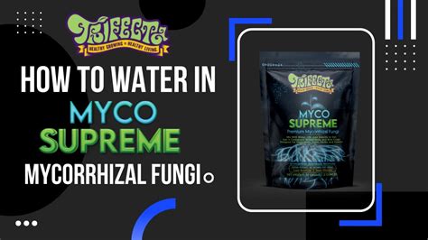 How To Water In Myco Supreme Mycorrhizal Fungi Root Enhancer YouTube