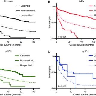 Kaplan Meier Survival Curves Depicting Overall Survival In Patients