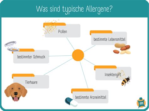 Allergien Ihre Apotheke informiert über Krankheiten