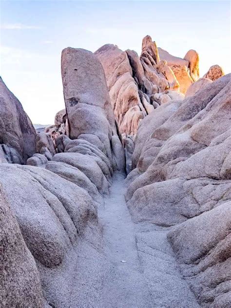 Stunning Hikes In Joshua Tree National Park — The Discoveries Of