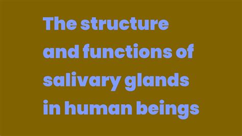 The Structure And Functions Of Salivary Glands In Human Beings Write