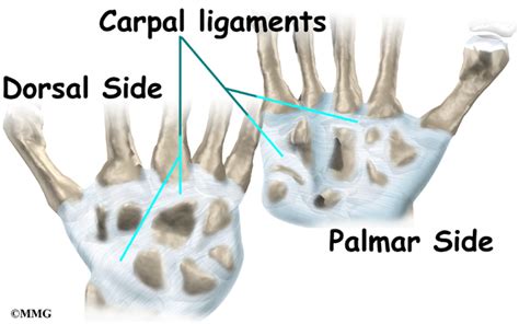 Wrist Injury Specialist Clinic | Singapore Sports and Orthopaedic Clinic & Neurosurgeon