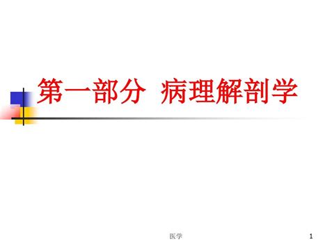 病理解剖学 Ppt课件word文档免费下载亿佰文档网