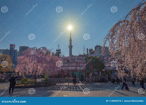 Sensoji Temple editorial stock image. Image of market - 114969374