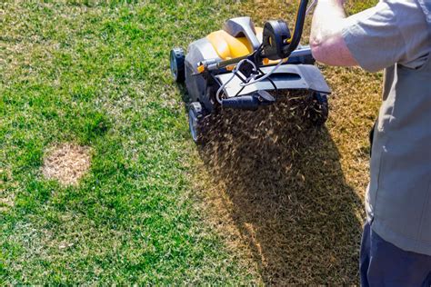 5 Lawn Care Tips To Start On Right Now