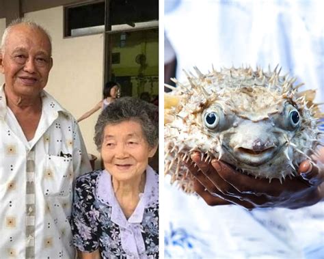 Malaysian Couple Die Of Food Poisoning After Eating Pufferfish Tvmnewsmt