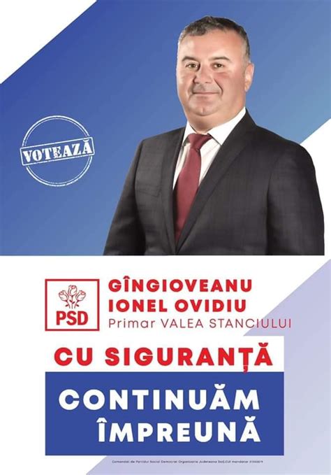 Pnl Dolj A Contestat Candidatul Psd La Prim Ria Valea Stanciului