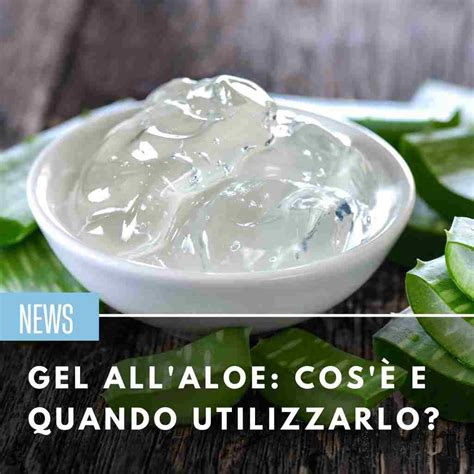 Gel All Aloe