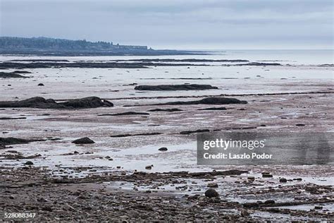 12 Joggins Nova Scotia Stock Photos High Res Pictures And Images