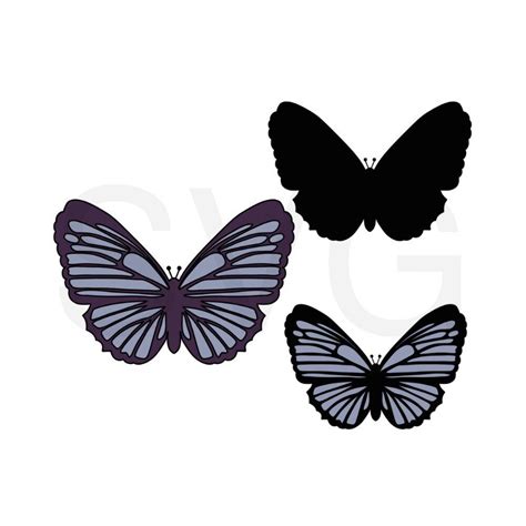 Butterfly Svg Butterfly Wings Butterfly Png Butterfly Etsy