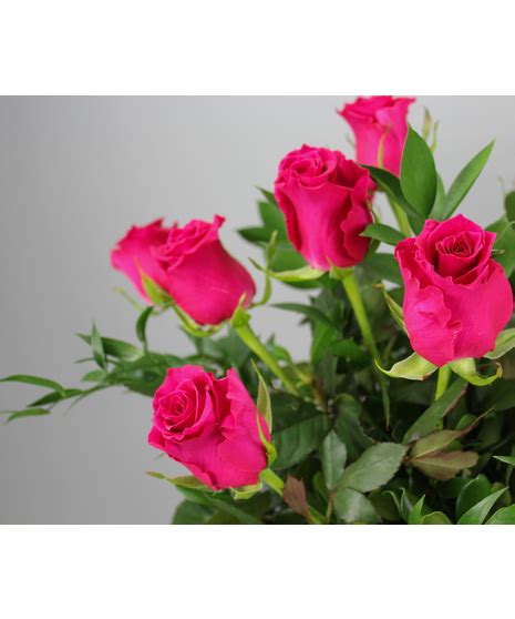 One Dozen Hot Pink Roses Baltimore Flower Delivery