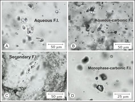 Fluid Inclusions Photomicrographs Of A Colony Of Primary