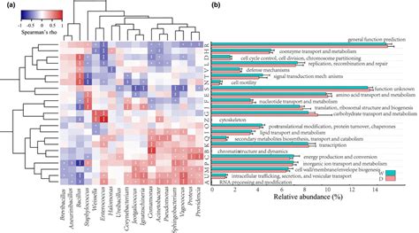 Functional Annotation Of Douchi Bacteria Based On Cog Database And Its