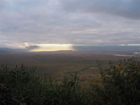 150+ Sunrise Ngorongoro Crater Tanzania Africa Stock Photos, Pictures ...