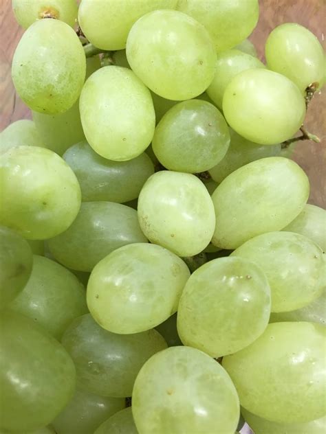 Green seedless grapes - 500g - The Northampton Grocer